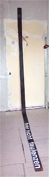 18.JPG - Derma und Karma
ca. 9 cm x 260 cm x 185 cm
Holz, Eisenn�gel, Rinderhaut, Papier